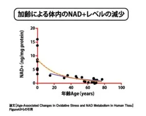 加齢による体内のNAD+レベルの減少
